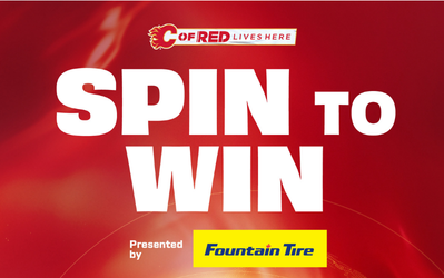 Calgary Flames Spin to Win