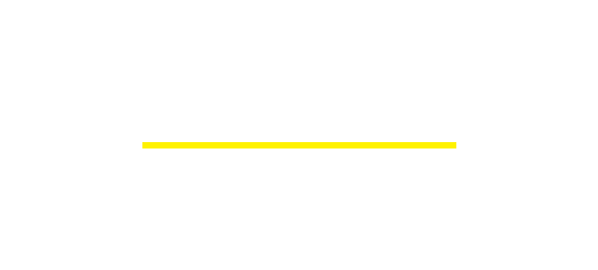 Our Company